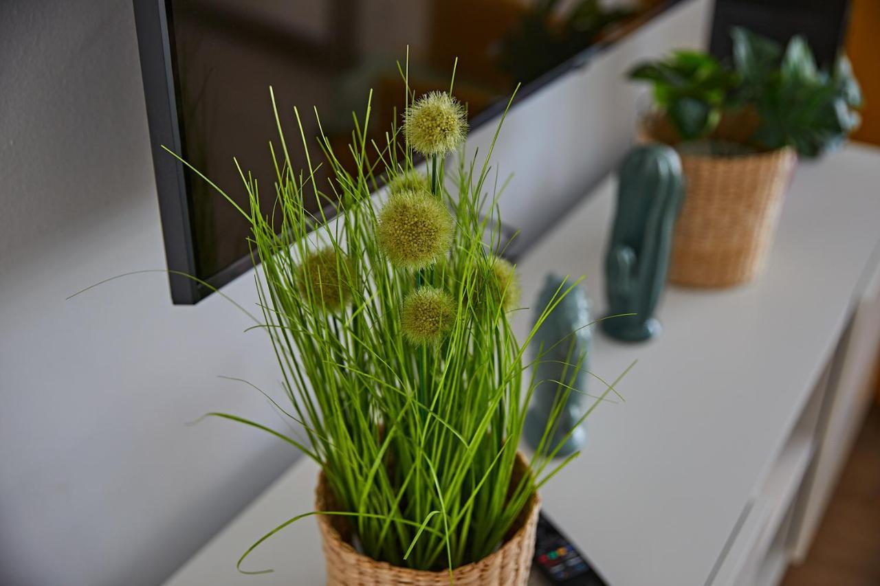 מספאלומס Cactus Sombrerudo- Bright Apartment Next To Yumbo מראה חיצוני תמונה